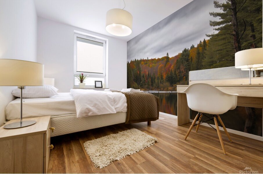 Algonquin Centenial Ridges 4 Impression murale