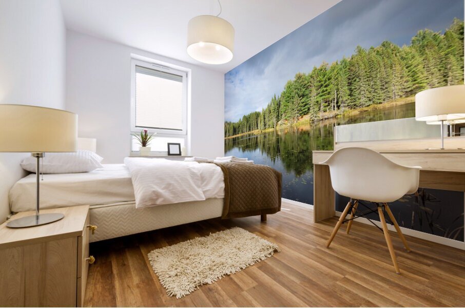 Algonquin Logging Museum trail Mural print