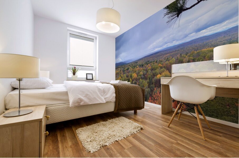 Algonquin Lookout Trail Mural print