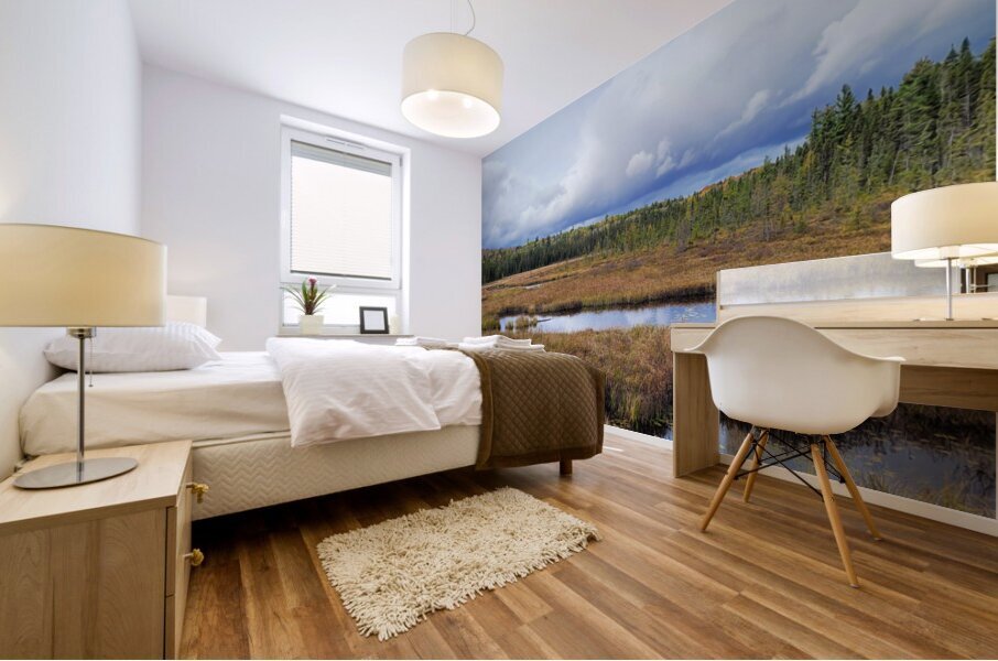 Algonquin Spruce Bog Boardwalk Mural print