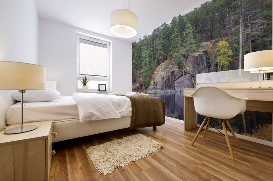 Algonquin Centenial Ridges 6 Mural print