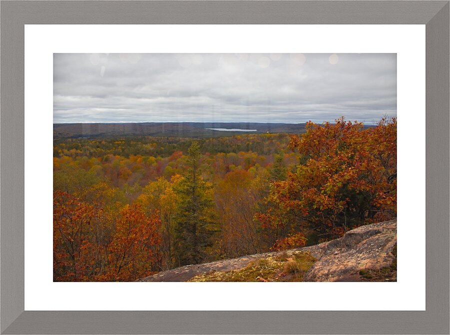 Algonquin Centenial Ridges 3 Picture Frame print