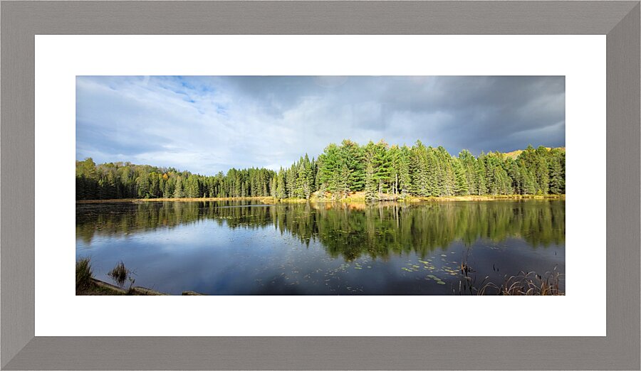 Algonquin Logging Museum trail Picture Frame print