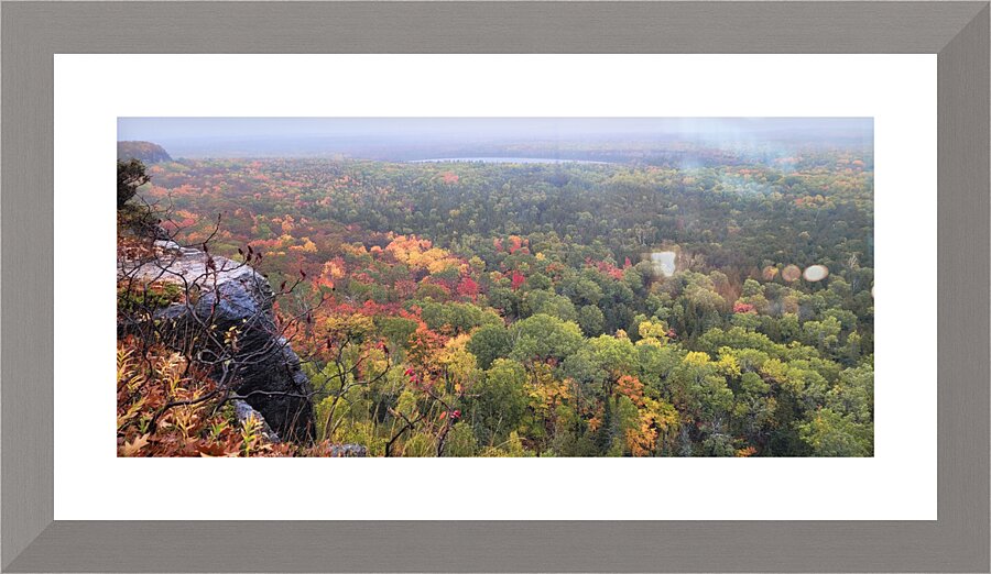 Cup and Saucer Trail 1 Picture Frame print