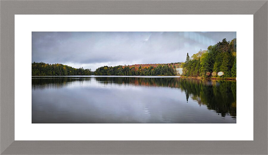 Limberlost Forest Solitaire Trail Picture Frame print