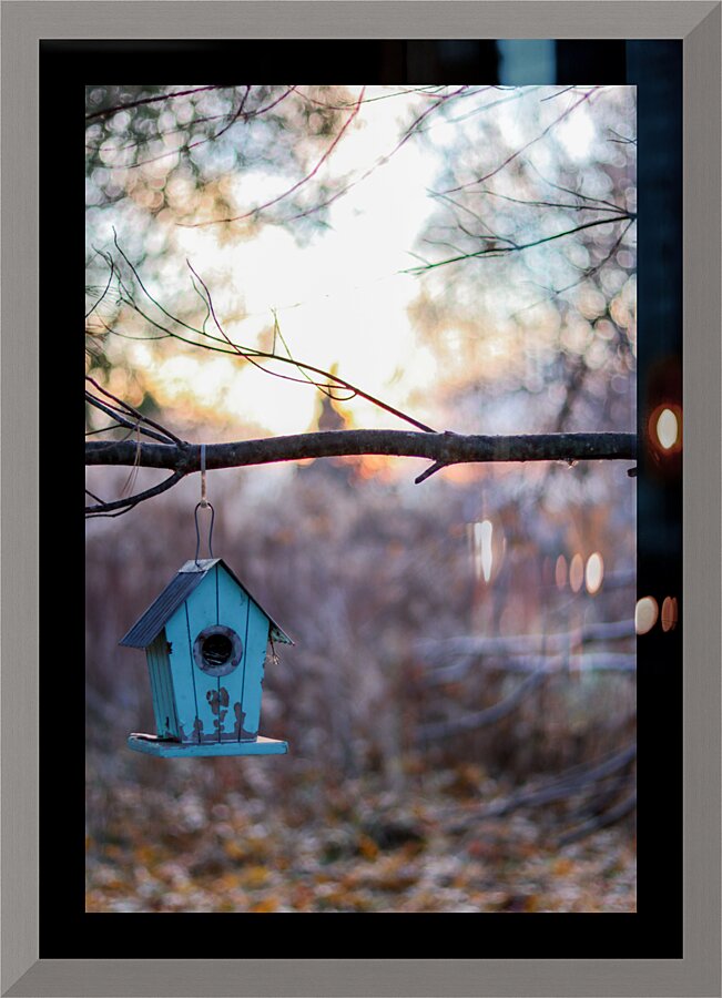 McLaughlin Bay Wildlife Reserve   birdhouse Picture Frame print