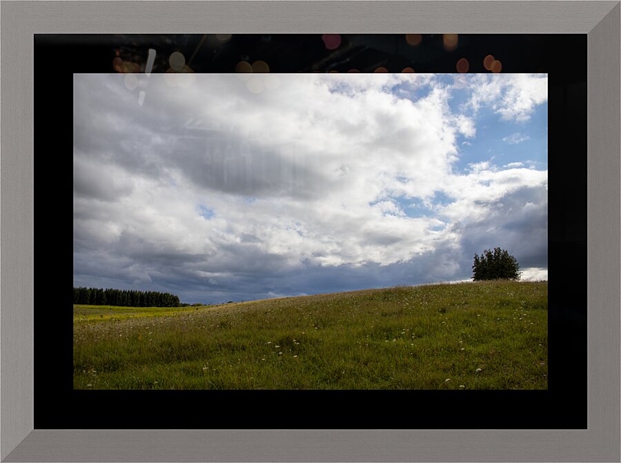 Rolling Meadow Picture Frame print
