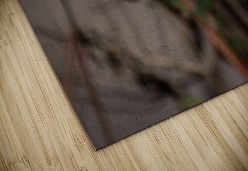 McLaughlin Bay Wildlife Reserve Chickadee Roy Hicks Photography puzzle