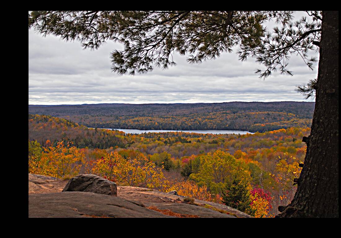 Algonquin Centenial Ridges 2 Reproduction