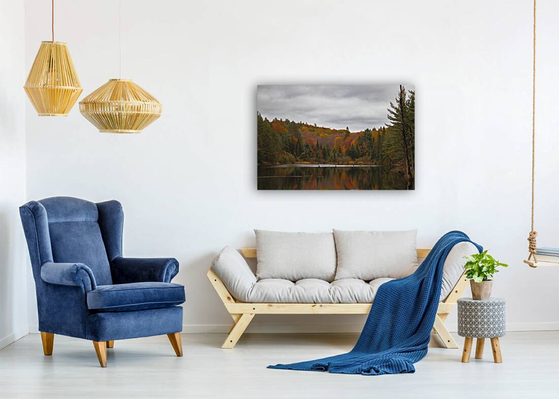 Algonquin Centenial Ridges 4 Reproduction