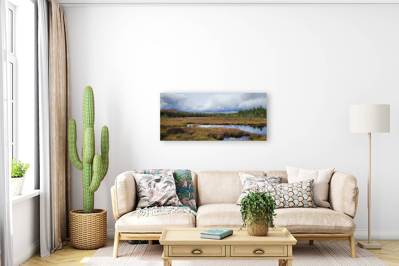 Algonquin Spruce Bog Boardwalk Reproduction