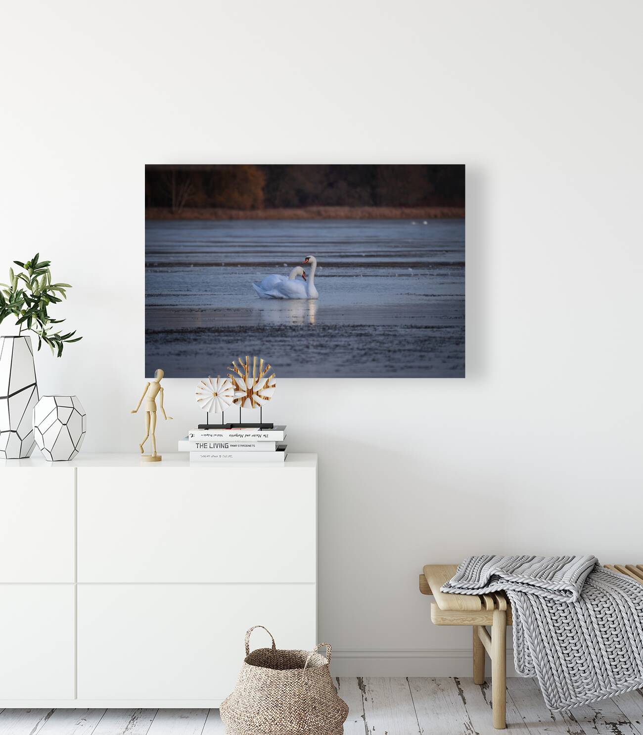 McLaughlin Bay Wildlife Reserve Swans Reproduction