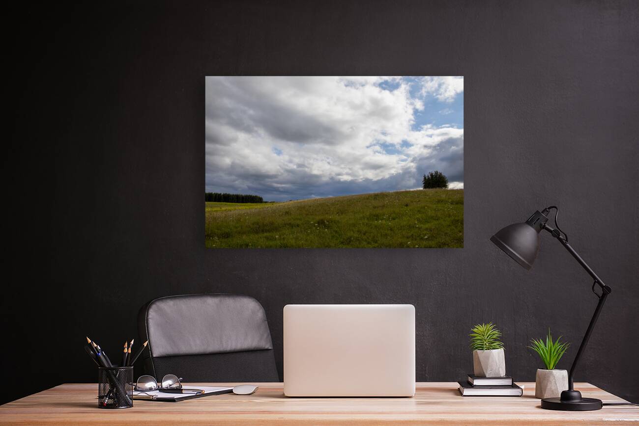 Rolling Meadow Reproduction