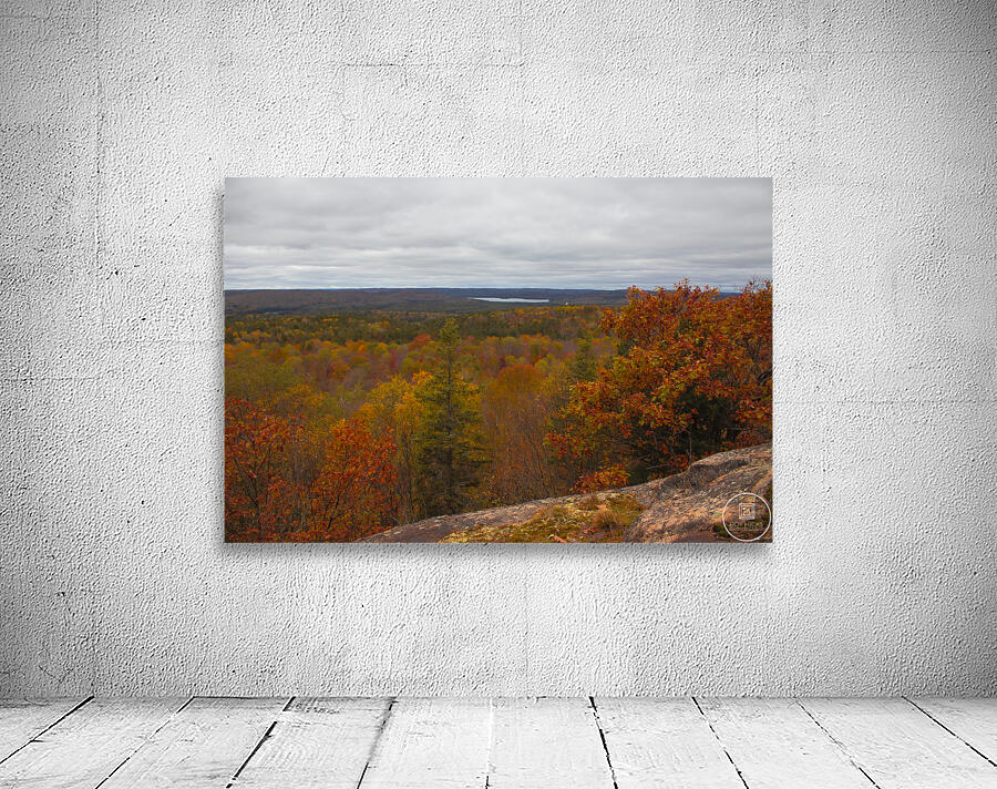 Algonquin Centenial Ridges 3 Wall Preview