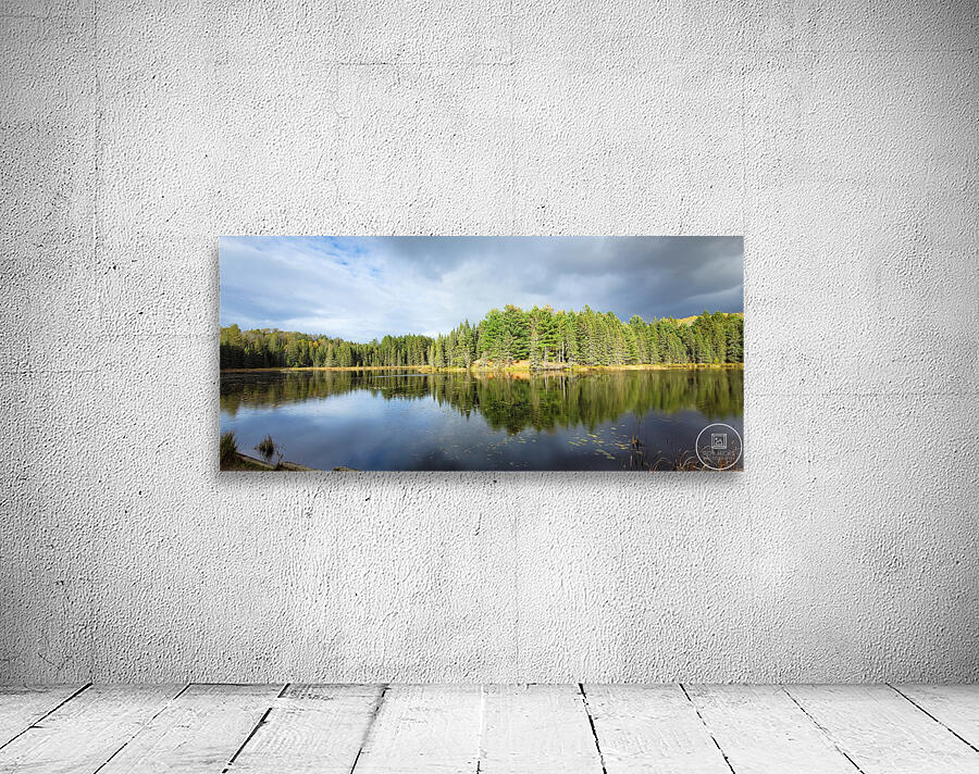 Algonquin Logging Museum trail Wall Preview