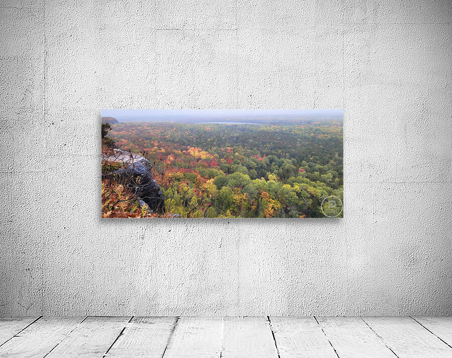 Cup and Saucer Trail 1 Wall Preview