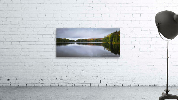 Limberlost Forest Solitaire Trail Wall Preview