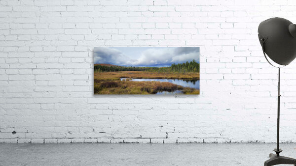 Algonquin Spruce Bog Boardwalk Wall Preview