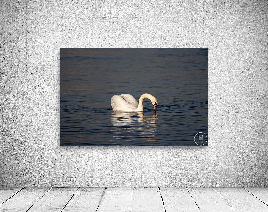 Toronto Lakefront Swan Wall Preview