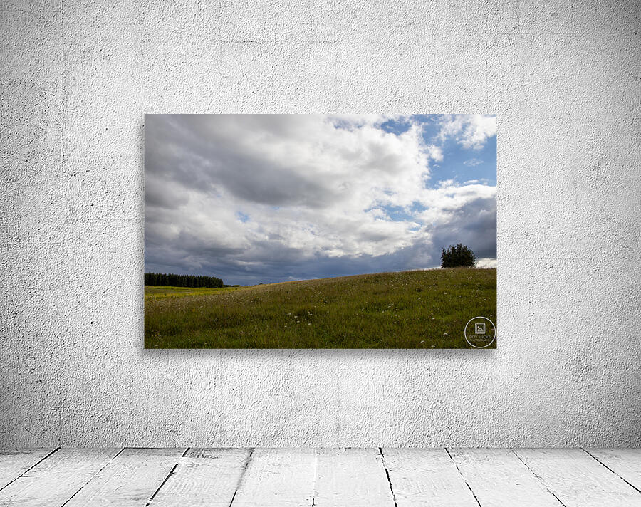 Rolling Meadow Wall Preview