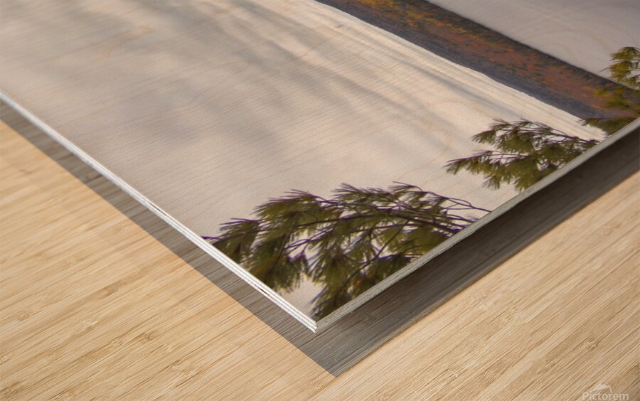 Algonquin Centenial Ridges 1 Wood print