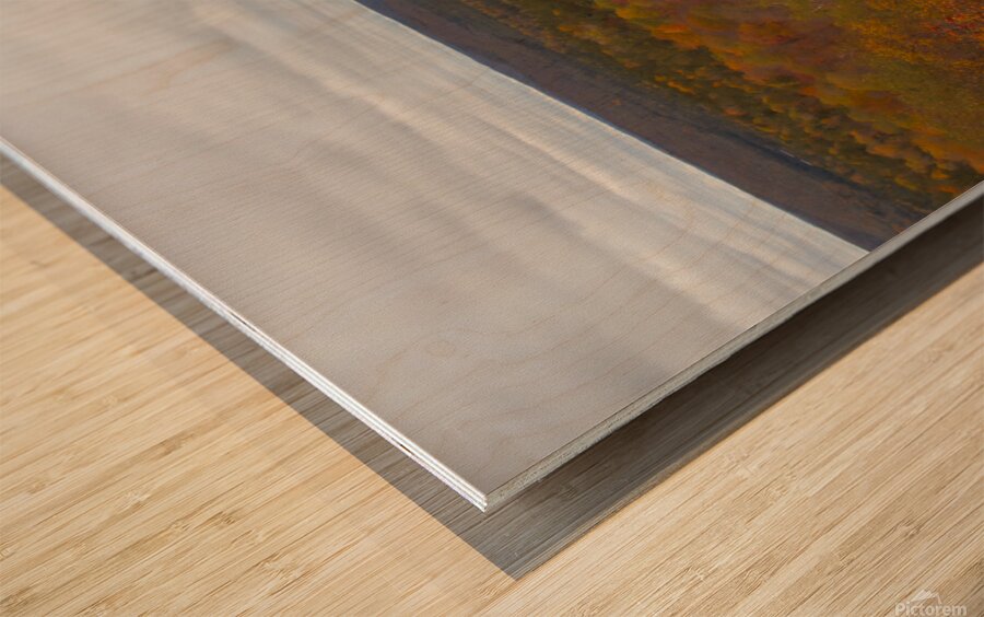 Algonquin Centenial Ridges 3 Wood print