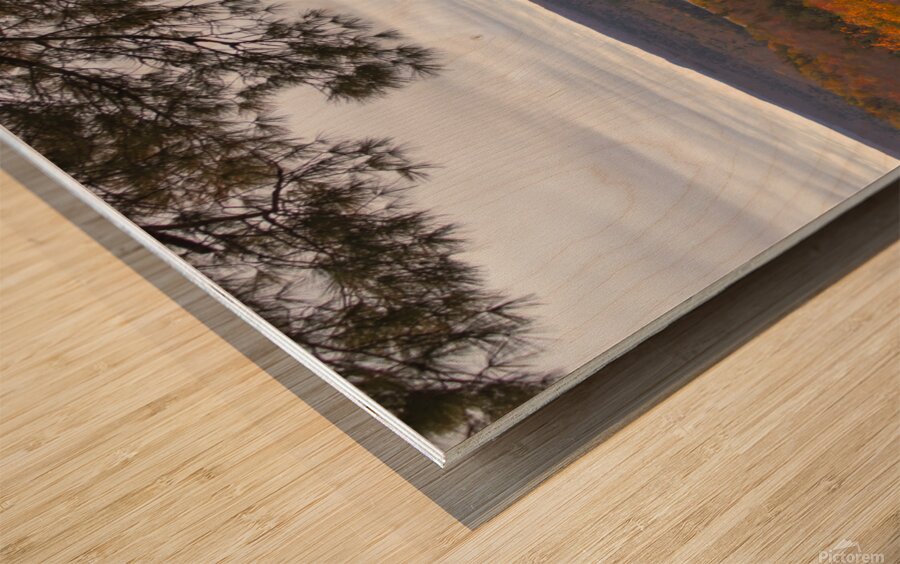 Algonquin Centenial Ridges 2 Wood print