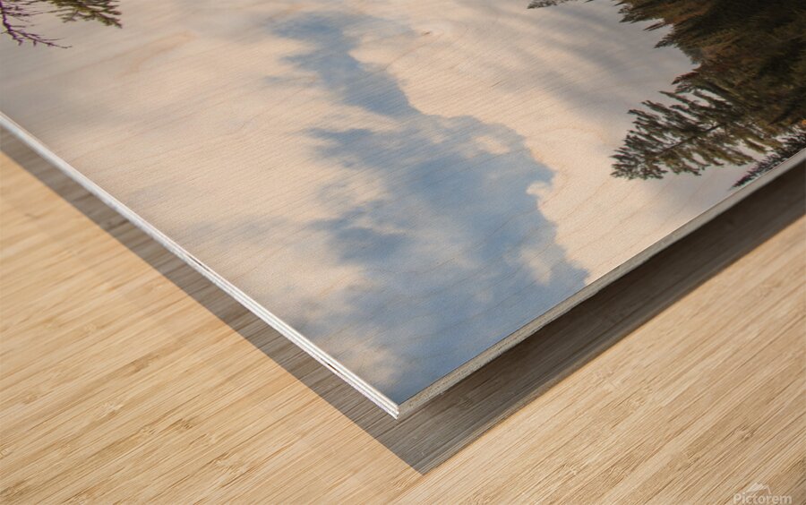 Algonquin Track and Tower Wood print