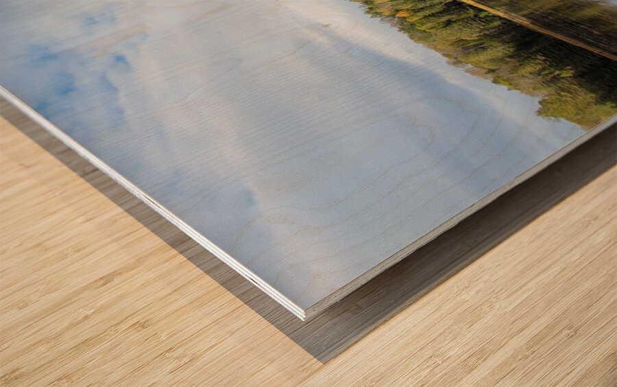 Algonquin Logging Museum trail Wood print