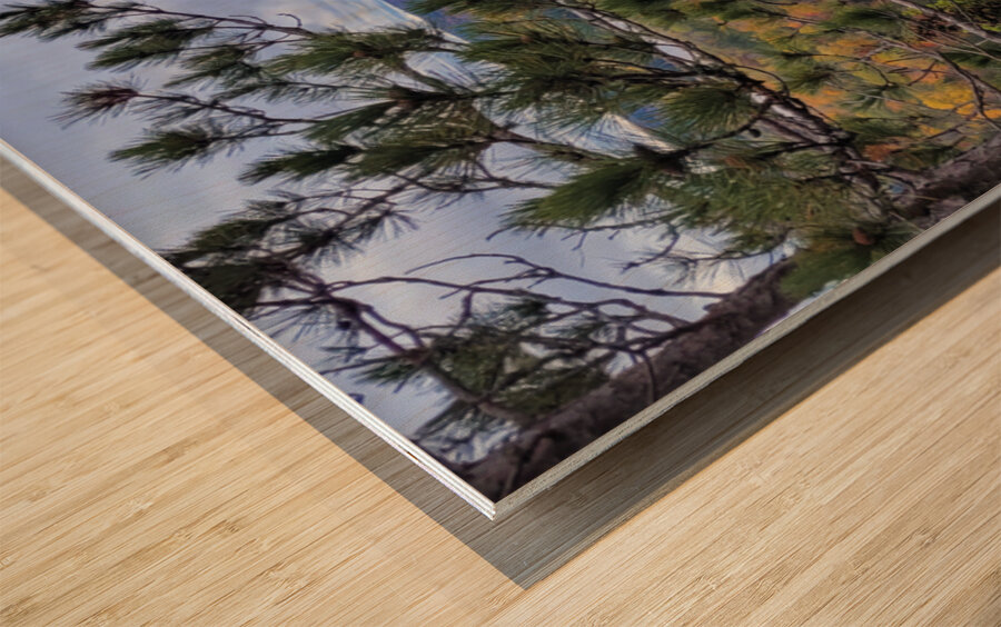 Algonquin Centenial Ridges 5 Wood print