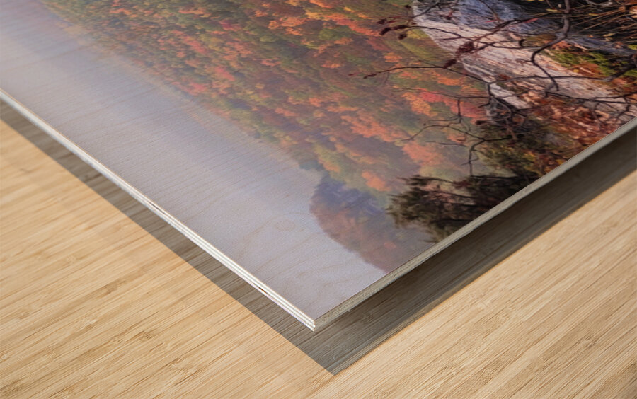 Cup and Saucer Trail 1 Wood print