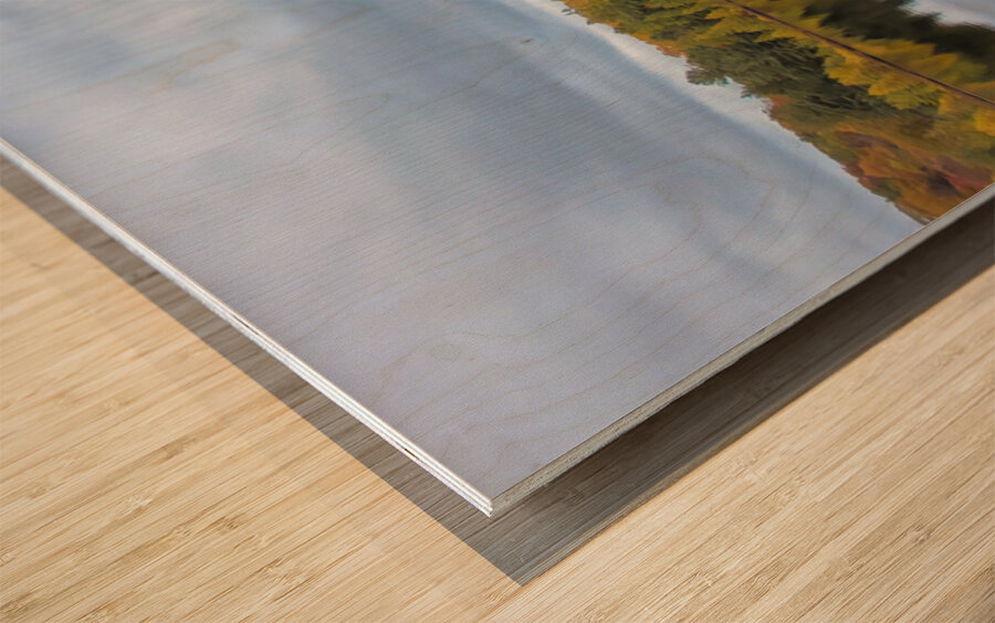 Algonquin Centenial Ridges 7 Wood print