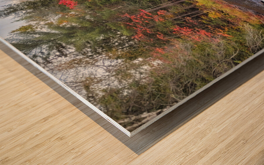 Algonquin Track and Tower Trail 2 Wood print