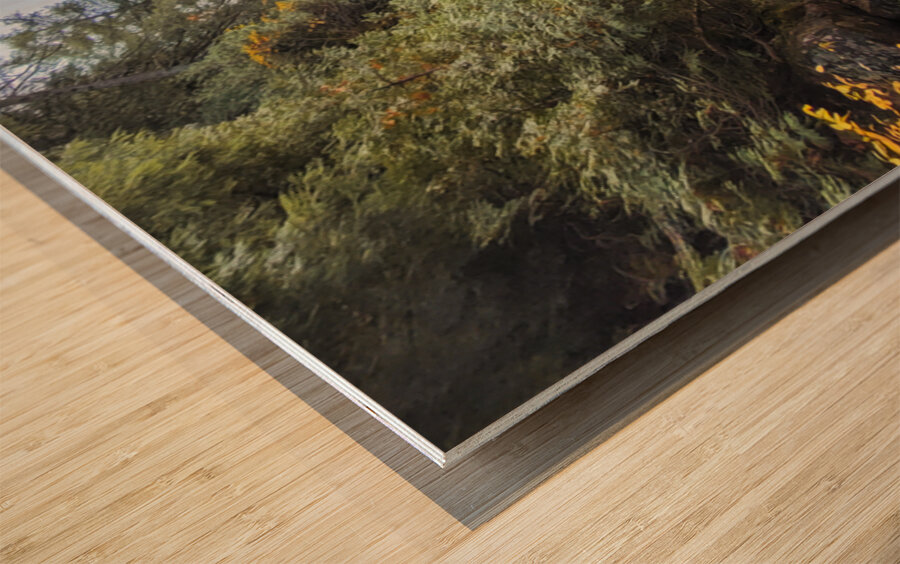 Algonquin Ragged Falls Wood print