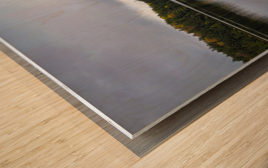 Limberlost Forest Solitaire Trail Wood print