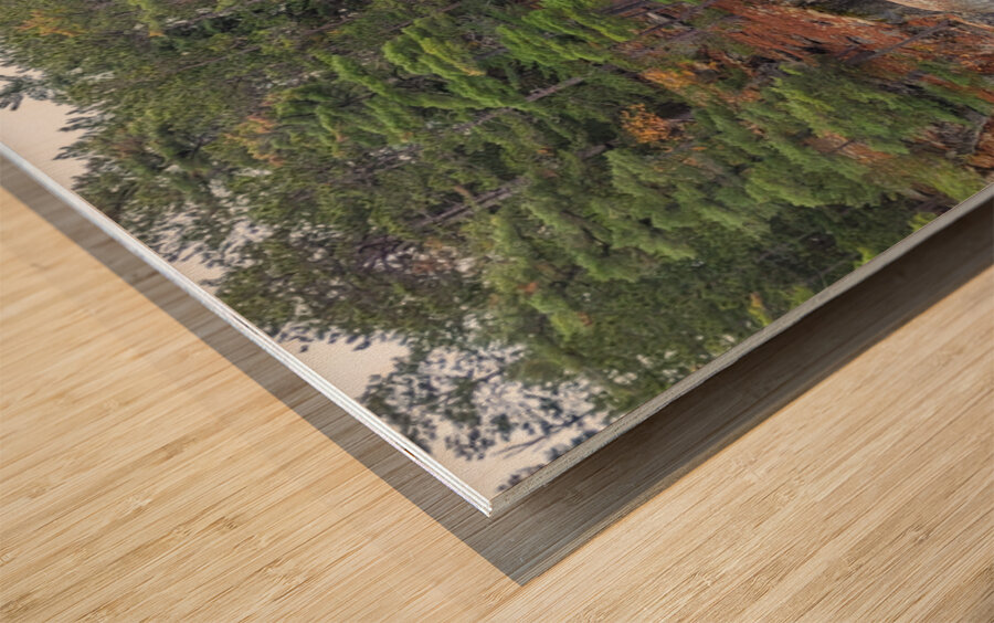 Algonquin Centenial Ridges 6 Wood print