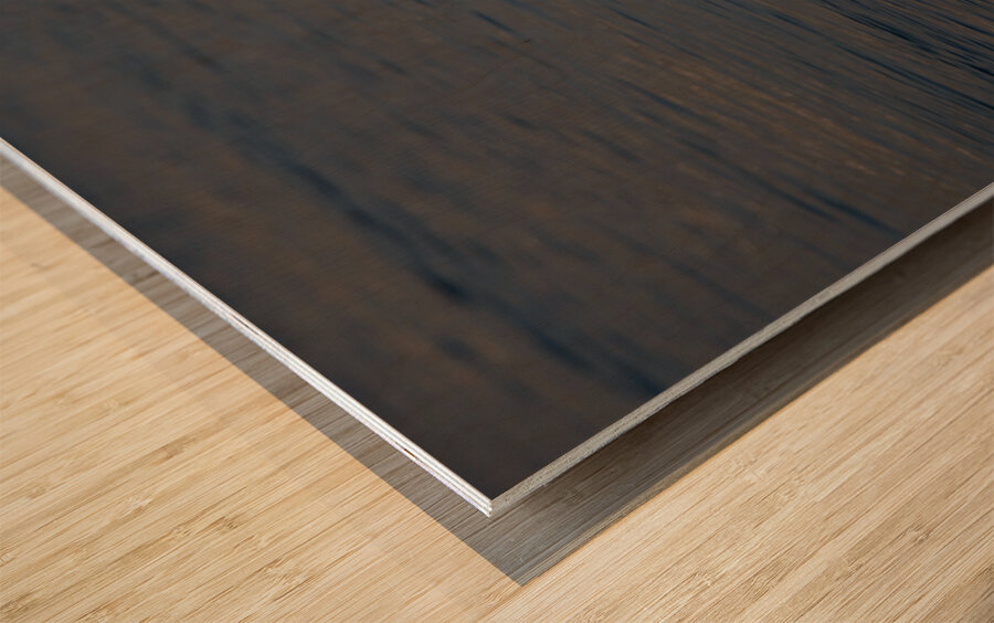 Toronto Lakefront Swan Wood print