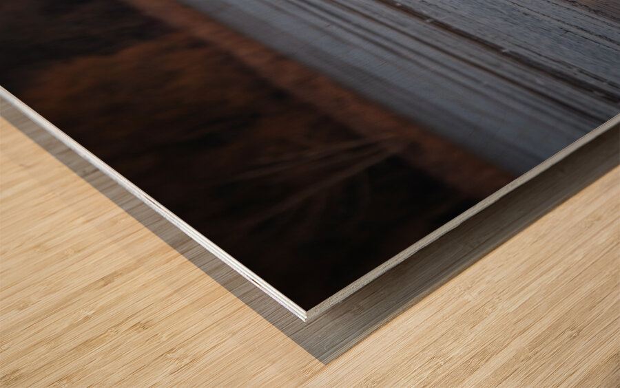 McLaughlin Bay Wildlife Reserve Swans Wood print