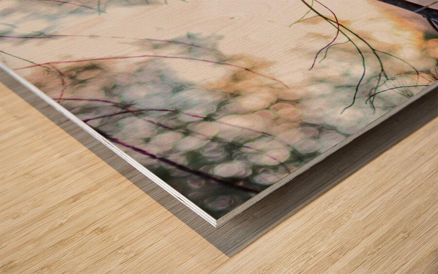 McLaughlin Bay Wildlife Reserve   birdhouse Wood print