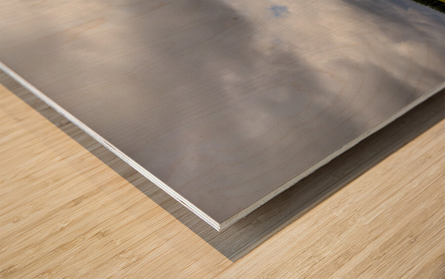 Rolling Meadow Wood print