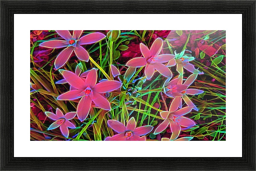 radiantplant Picture Frame print