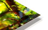 TREEgirl2 HD Metal print