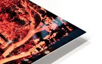 saloon HD Metal print