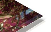 olderpicsummer22 HD Metal print