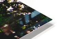 Beautiful Mural OKC HD Metal print