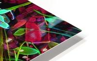 radiantplant HD Metal print