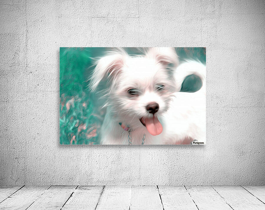 WHITEdog Wall Preview