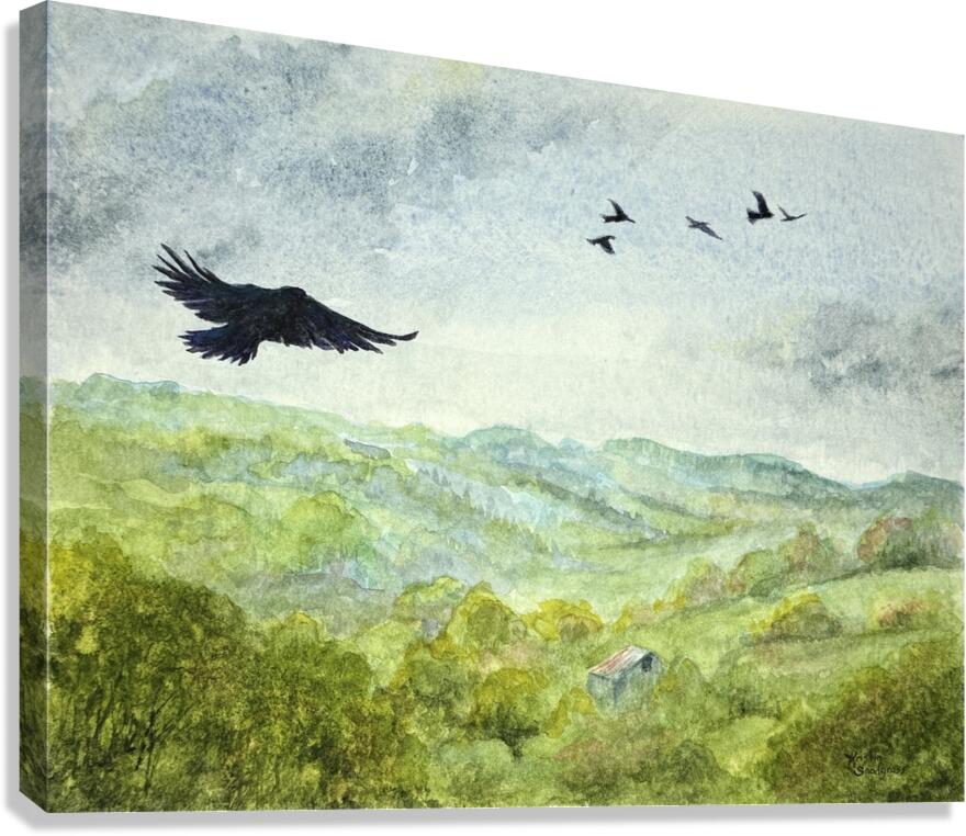 Soaring