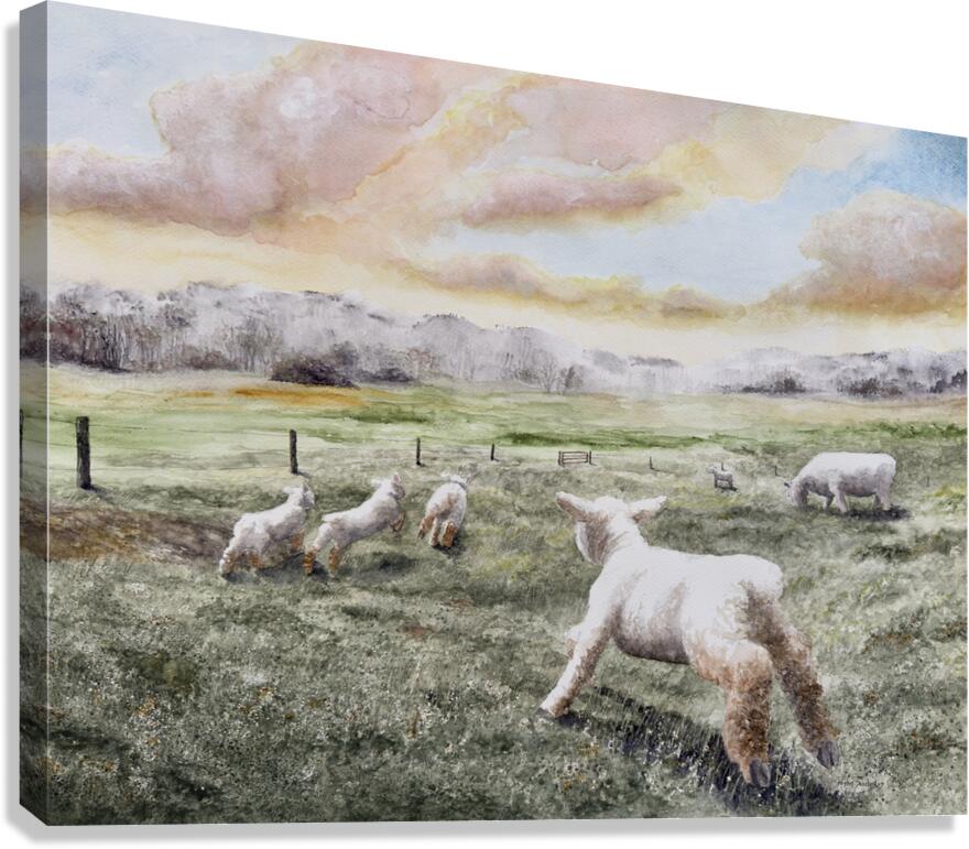 Lamb Races