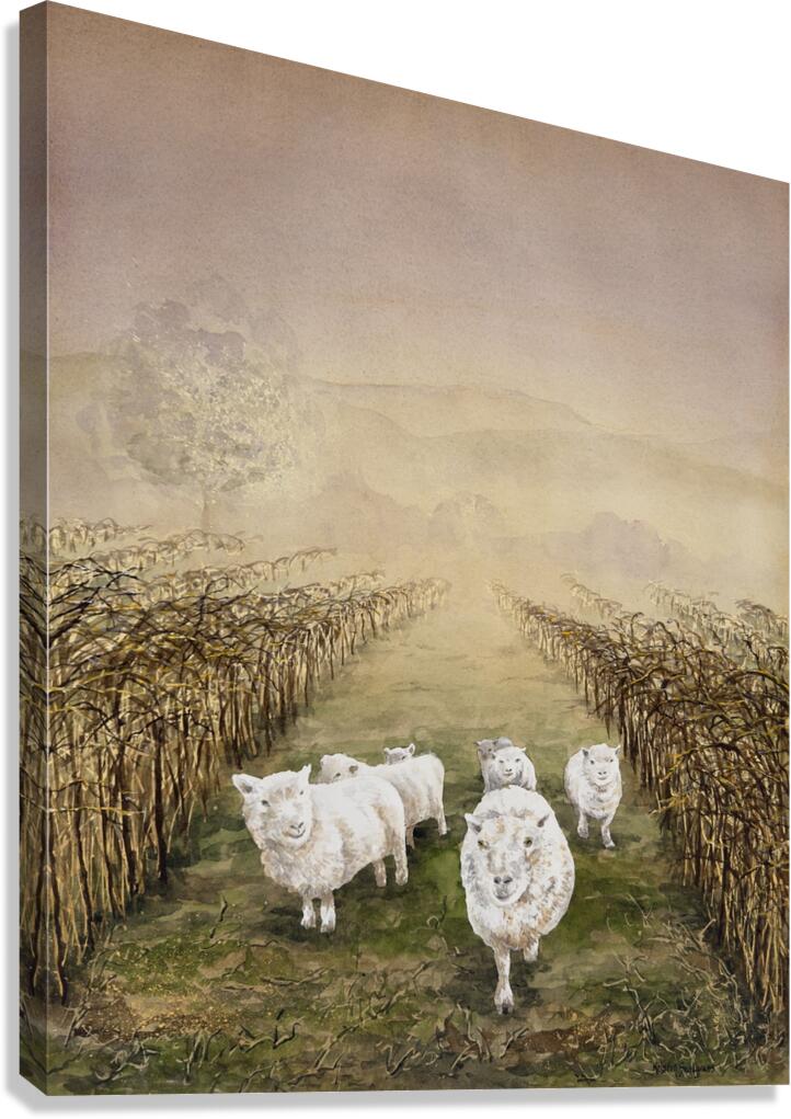 Vineyard Workers